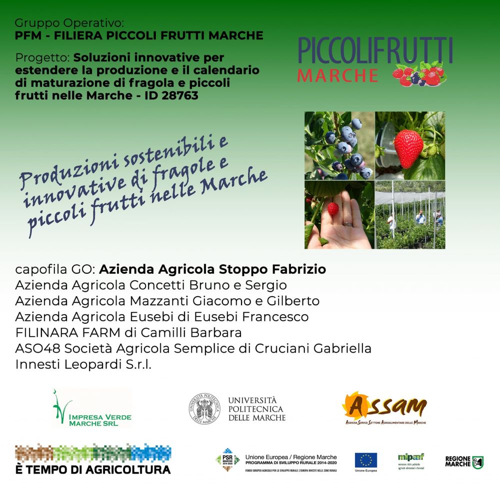 MacFrut 2022 VPM