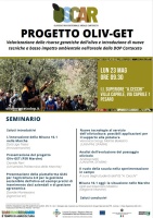 Risultati intermedi del Progetto OLIV-GET