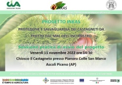 Il progetto INKAS – Protezione dei castagneti da frutto dal Mal dell’Inchiostro