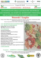 SOTTOPRODOTTI DELLA LAVORAZIONE INDUSTRIALE DEI VEGETALI: DA SCARTI AD INGREDIENTI FUNZIONALI PER LA FORMULAZIONE DI ALIMENTI INNOVATIVI