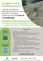 ORTICOLTURA BIOLOGICA A STRISCE Un modello di coltivazione agroecologico per produzioni ortive biologiche diversificate e rispettose della salute del suolo