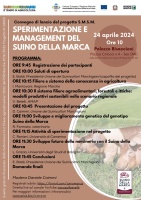 Convegno di lancio del progetto S.M.S.M. (Sperimentazione e Management del Suino della Marca)