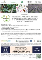 Produzione e impiego di oli essenziali nella protezione da fitofagi e malattie e su nematodi bioindicatori terricoli in orticoltura biologica