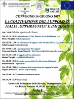La coltivazione del luppolo in Italia: opportunità e impieghi
