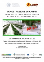 TECNICA DI COLTIVAZIONE DELLA FRAGOLA RIFIORENTE IN COLTURA FUORI SUOLO