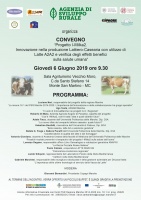 Convegno 