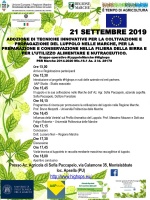 ADOZIONE DI TECNICHE INNOVATIVE PER LA COLTIVAZIONE E PROPAGAZIONE DEL LUPPOLO NELLE MARCHE, PER LA PREPARAZIONE E CONSERVAZIONE NELLA FILIERA DELLA BIRRA E PER L’UTILIZZO ALIMENTARE E NUTRACEUTICO.